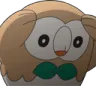 rowlett_concern
