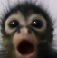 khaled Discord emoji