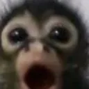 pogMonkey
