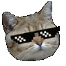 KS_VibinKittySwag