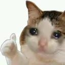 Sadcat Discord Emoji