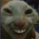 shiro2 Discord Emoji