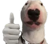 dogthumb