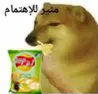 Dinteresting_dog