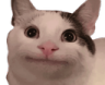 krbis Discord emoji