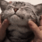 Cat30