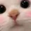 Cat9 cat9 Discord Emoji