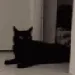 yoinkHere