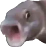 PogFish