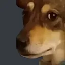 SL_Huh