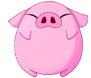 piggle