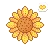 pe_sunflower