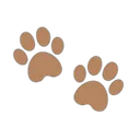 pe_brownpawprints