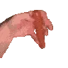 spinHotdogRight