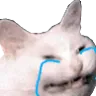 kot_tilt