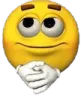 SS_NiceMan