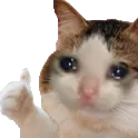 Catthumbsup catthumbsup Discord Emoji
