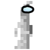patsus