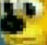 Nb_wut Discord emoji