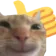 thumbsupcat