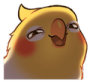 birbhehe Discord emoji