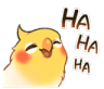 birblaugh Discord emoji