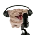 4470meowmeow Discord Emoji