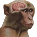 neuronactivation Discord emoji