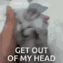 getoutofmyheadcat