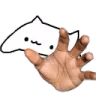 bongohand