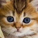 emoji_49 emoji_49
