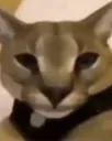 heck
