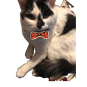 DanteRavenTie Discord emoji