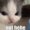 not_hehe