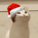 christmascat christmascat