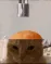 catsurgery catsurgery