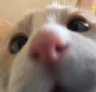 noway noway