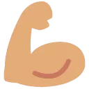 zenflex zenflex