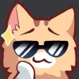 catsunglasses