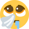 salud Discord emoji