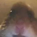 hamood