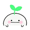 z_bstare