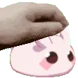 bnuypat