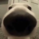 let_me_smell_let_me_smell_let_me