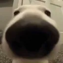 let_me_smell_let_me_smell_let_me let_me_smell_let_me_smell_let_me