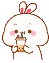 TU_rabbit
