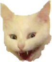 pav_tsss Discord emoji