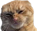 pav_ayiee Discord emoji