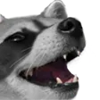cath4LUL