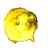 discopug